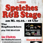 The BogSnorklers bei Speiches R & B Stage